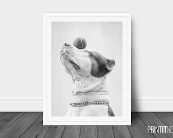 Dog Cute Print, Bull Dog Decor Wall Art, Large Printable Poster, Digital Download, Modern Minimalist Decor, Black and White