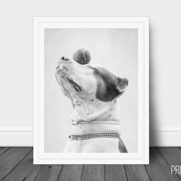 Dog Cute Print, Bull Dog Decor Wall Art, Large Printable Poster, Digital Download, Modern Minimalist Decor, Black and White