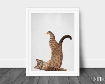 Yoga Cat Print, Nursery Animal Decor Wall Art, Large Printable Poster, Digital Download, Modern Minimalist Decor,Black and White, Yoga Print