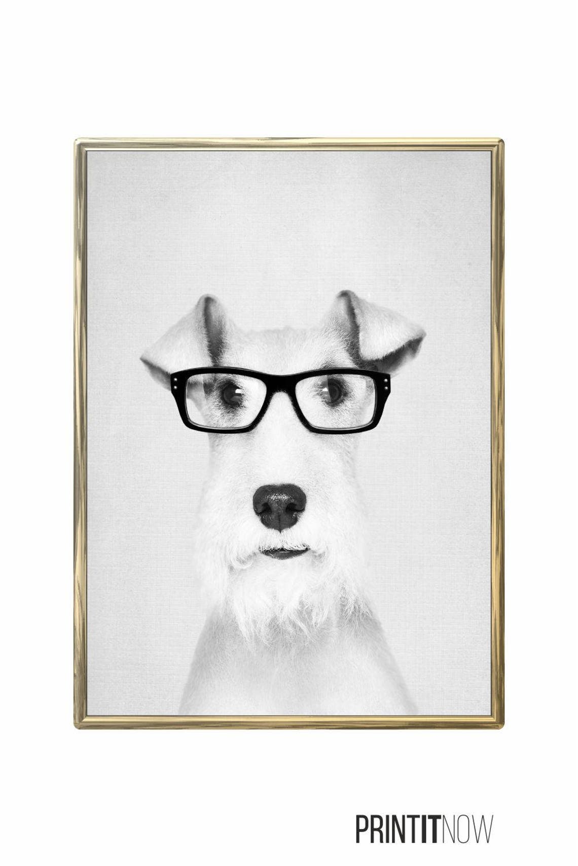Dog With Glasses Print Nursery Animal Decor Wall Art Large Etsy Canada