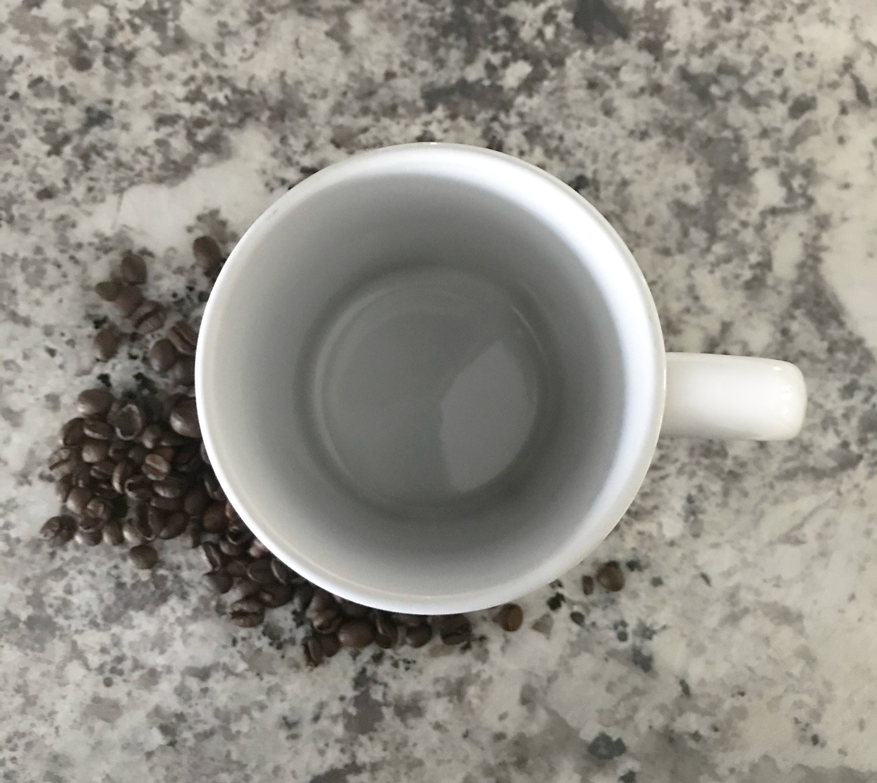 LEAF TOSS COFFEE CUP - 815952222536