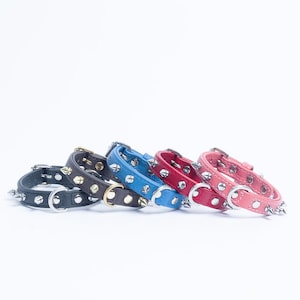 Rotterdam Spiked Genuine Leather Dog Collar