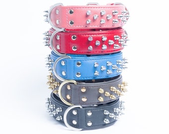 Amsterdam Spiked - Genuine Leather Dog Collar