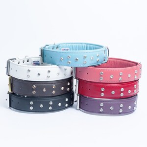Athens - Genuine Leather Padded Bling Dog Collar