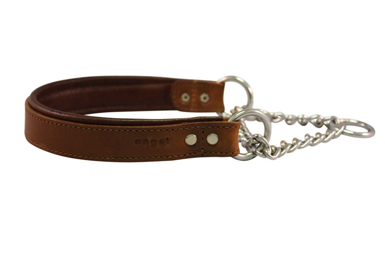Genuine Leather Padded Martingale Dog Collar Etsy