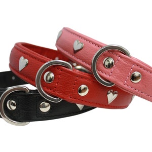 Rotterdam Hearts - Genuine Leather Padded Heart Dog Collar