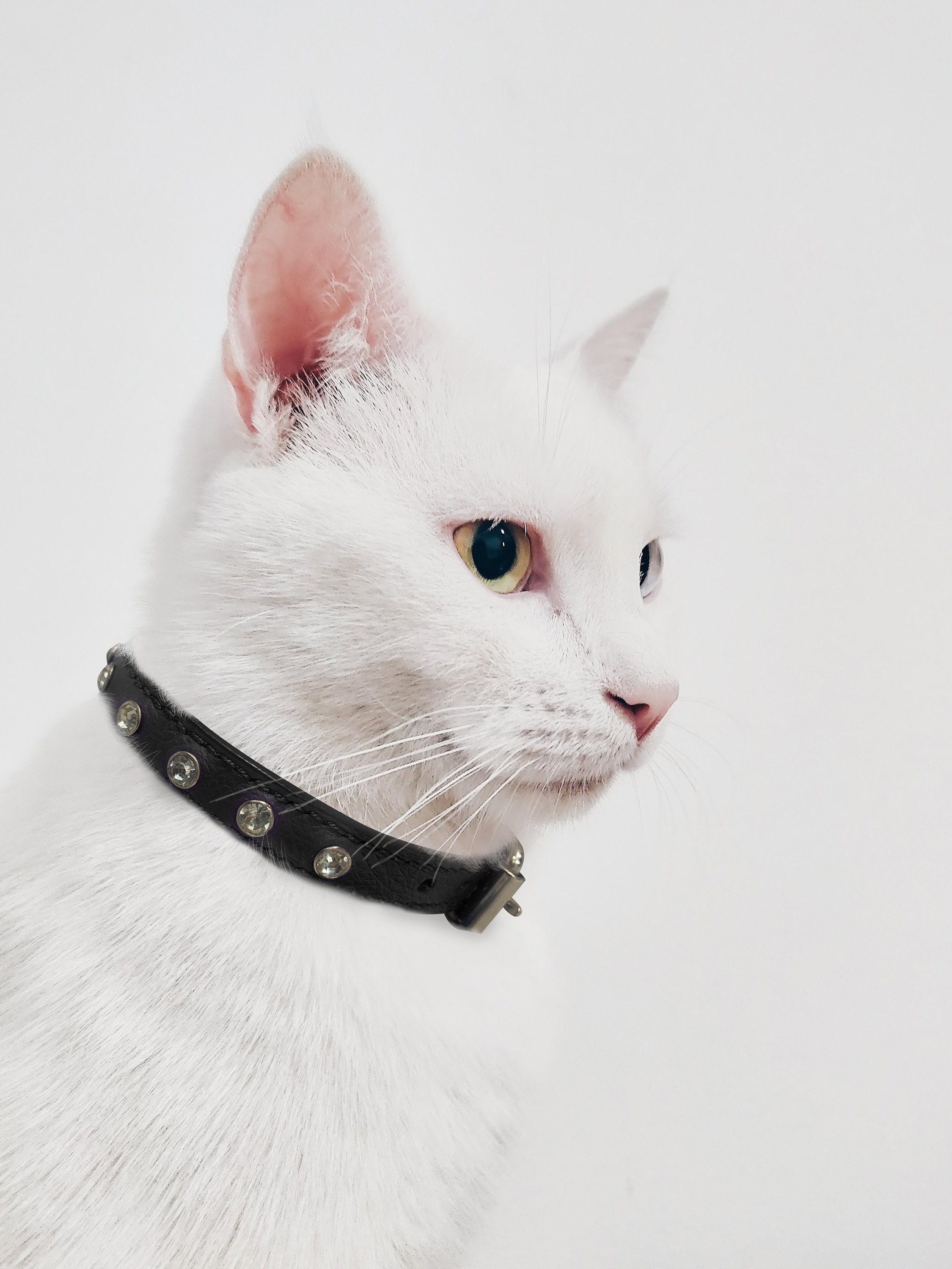 Genuine Leather Cat Collars - Etsy