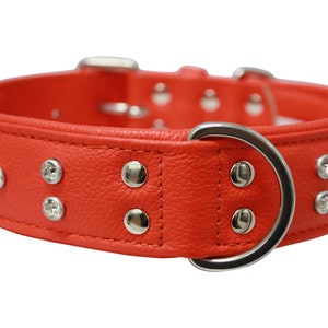 Genuine Leather Padded Dog Collar