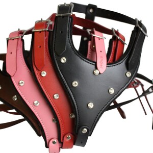 Leather Harness