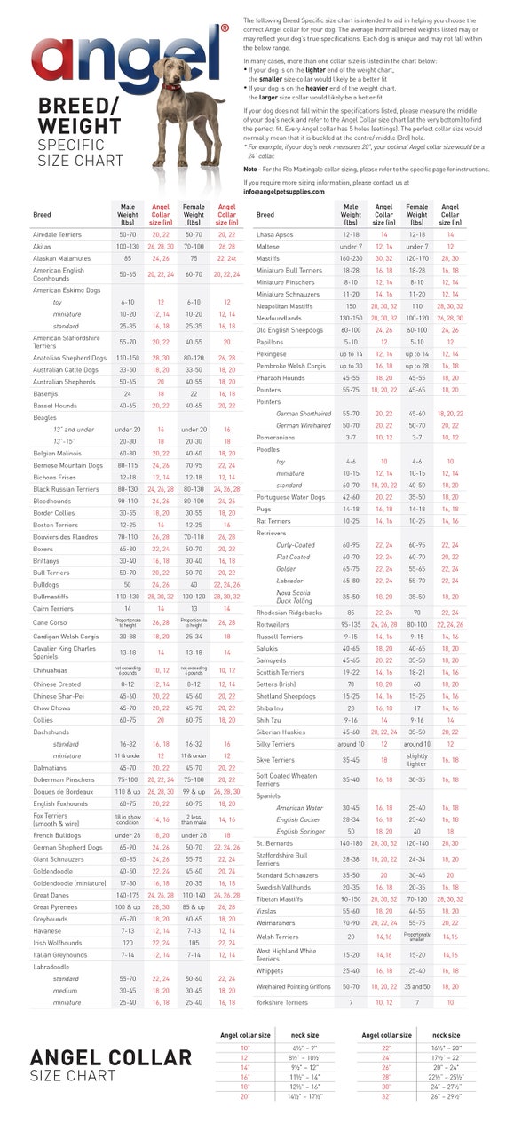 Dog Collar Size Chart By Weight