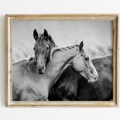 Black and White Poster Horse Portrait Print Horse Printable Art Horse Wall Art Digital Printable Farmhouse Wall Decor