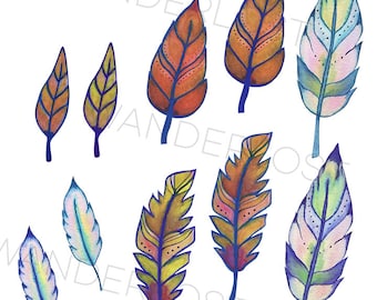 Hand painted Watercolor Feathers/ Leaves Clip Art Digital File Hi-Resolution Download JPG