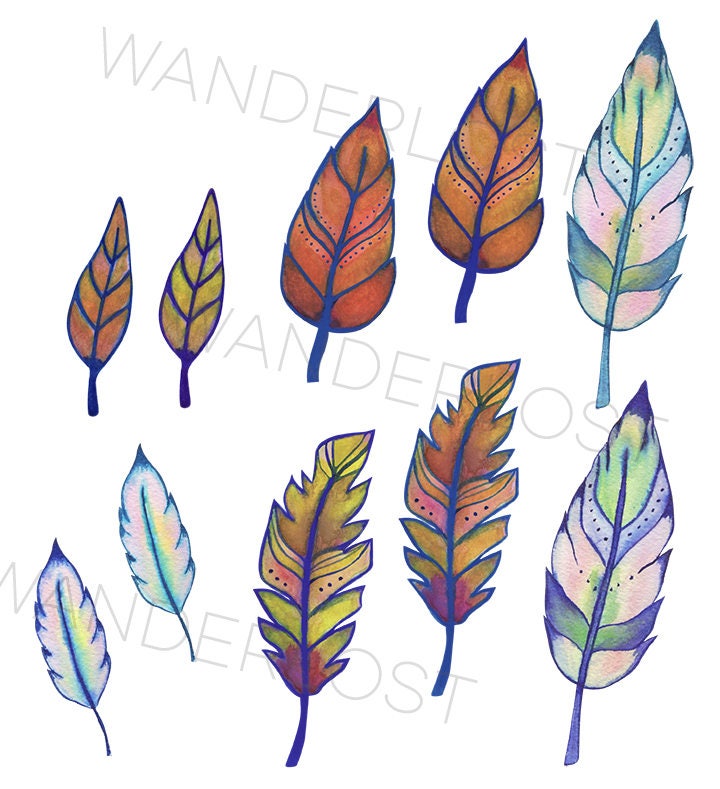Hand Painted Watercolor Feathers/ Leaves Clip Art Digital File | Etsy