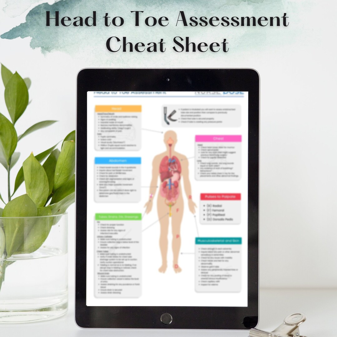 Head to Toe Assessment Nursing Cheat Sheet Nurse Report - Etsy