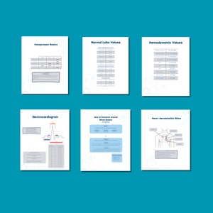 Icu Nursing Basics Cheat Sheets Digital Reference Badge Cards