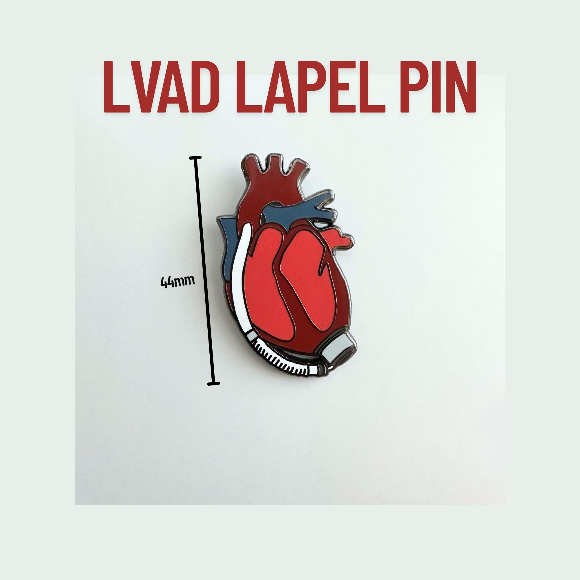 Anatomical Heart Pin