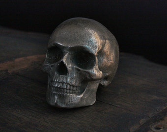 Yorick Full Skull with Latin Inscription