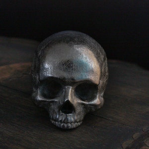 Yorick Skull with Latin Inscription