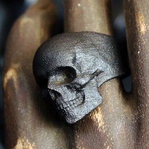 blackened steel skull ring on wooden carved hand side view