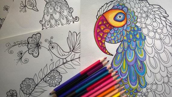 Czarny Sowa Czarna Sowa Sowa Halloween Sowy Obraz Png I