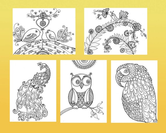 Instant Pobierz Kolorowanki Strona Paw Sowa Rysunek Papuga Kolorowanka Dla Dzieci I Dorosłych Ptaków Rysunki Zentangle Doodle Art