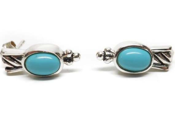 Sleeping beauty turquoise drop earrings deals