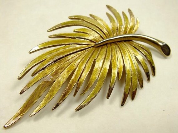 Pastelli brooch best sale