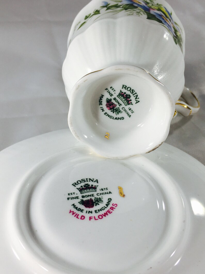 Vintage Rosina Fine England Bone China Wild Flower Pattern Etsy