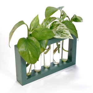 Handmade Propagation Station