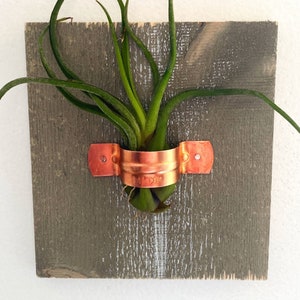 Soporte/soporte para planta de aire