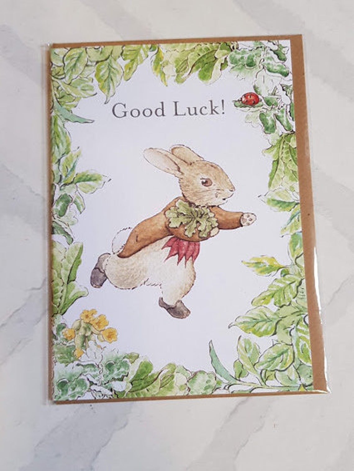 Beatrix Potter Card Birthday Card Card for Her Card for | Etsy