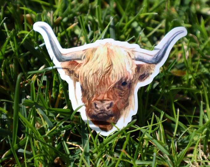 Highland Cattle Vinyl Sticker