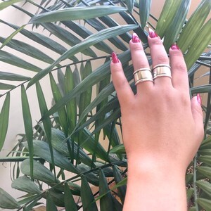 May include: Two silver rings on a hand with red nail polish. The hand is resting on a green plant with long leaves.