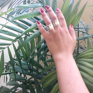 May include: A hand wearing two silver rings on the middle finger. The hand is resting on a green palm tree leaf.