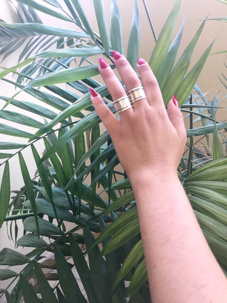 May include: A hand wearing two silver rings on the middle finger. The hand is resting on a green palm tree leaf.