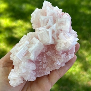 Pink Halit aus Searles Lake, Trona, Kalifornien, USA