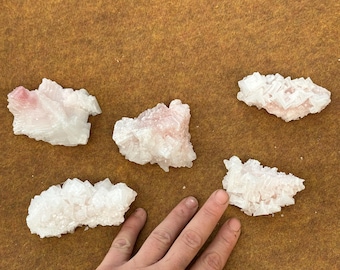 May include: Five raw, crystalline mineral specimens with a white and pink hue are displayed on a brown surface. The crystals have a rough, textured appearance. The image includes a hand for scale, showing the size of the crystals.