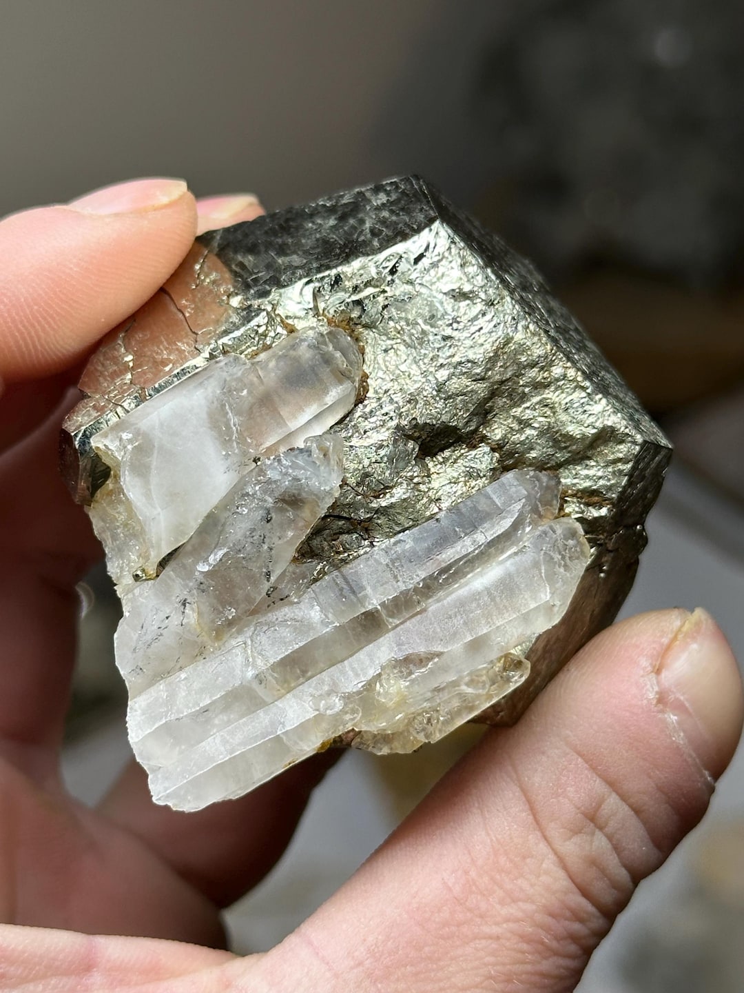 Pyrite With Quartz - Spruce Ridge Claim, Washington, USA - Etsy
