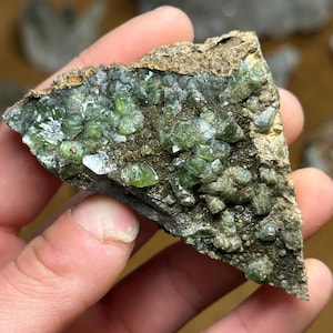 May include: A piece of raw, uncut peridot gemstone. The peridot crystals are a vibrant green color and are clustered on a dark, rough matrix. The matrix has a brown and gray color. The gemstone is held in a hand.