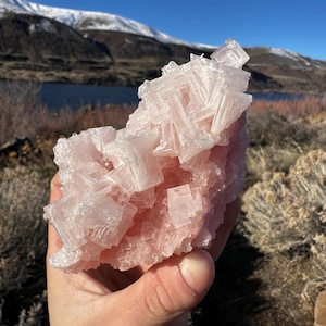 Pink Halit aus Searles Lake, Trona, Kalifornien, USA