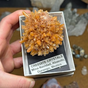 May include: A cluster of orange creedite crystals in a white box. The crystals are a vibrant orange color and have a spiky, textured appearance. A label in the box reads "CREEDITE CRYSTALS Mina Navidad, Abasolo, Durango, Mexico."