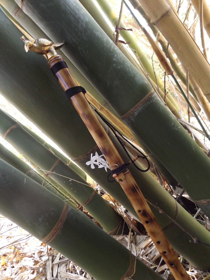 Walking Stick Flute native American With Brass Bird Handle Etsy