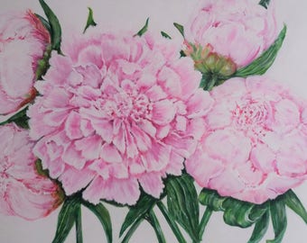 Peonies