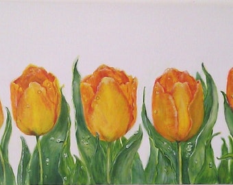 Tulips