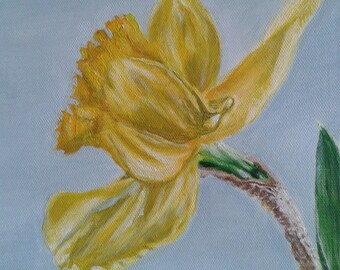 Daffodil
