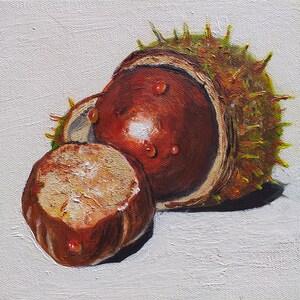 Conkers