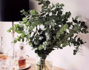 Fresh Eucalyptus Bouquet: Scented Foliage, Home Decor