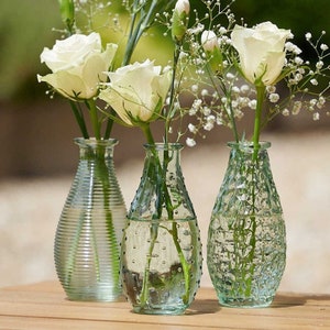 Little Botanical Glass Patterned Vases | Vintage Wedding Flower Bottle | Bottles For Flowers | Various Sizes | Set Of 3 Option | UK Florist
