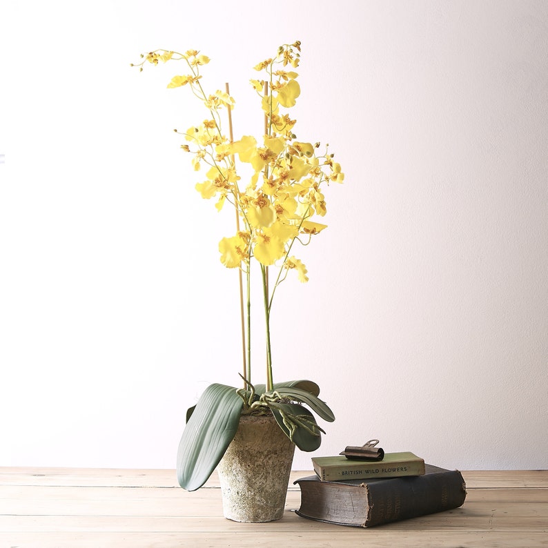 May include: A tall artificial yellow dancing lady orchid plant with multiple delicate blooms on thin stems, potted in a weathered, textured stone-colored container, accompanied by two stacked vintage books with the title British Wild Flowers.