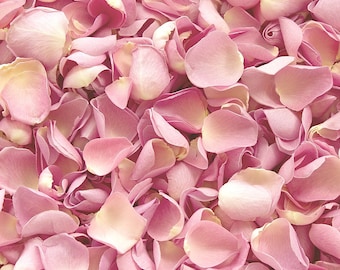 1 Pint Biodegradable Eco friendly Small Light Pink Blush Garden Rose Petal Confetti | Natural Rose Petals Throwing Confetti | UK Grown